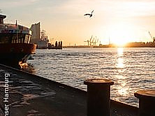 Sonntagmorgen Spezial zum Fischmarkt!