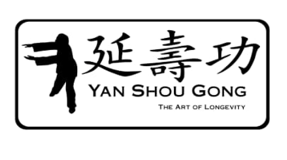 ysg-logo