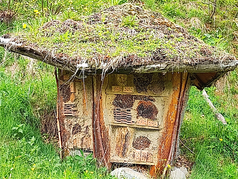 Gartenseminar - naturnahe Gartengestaltung