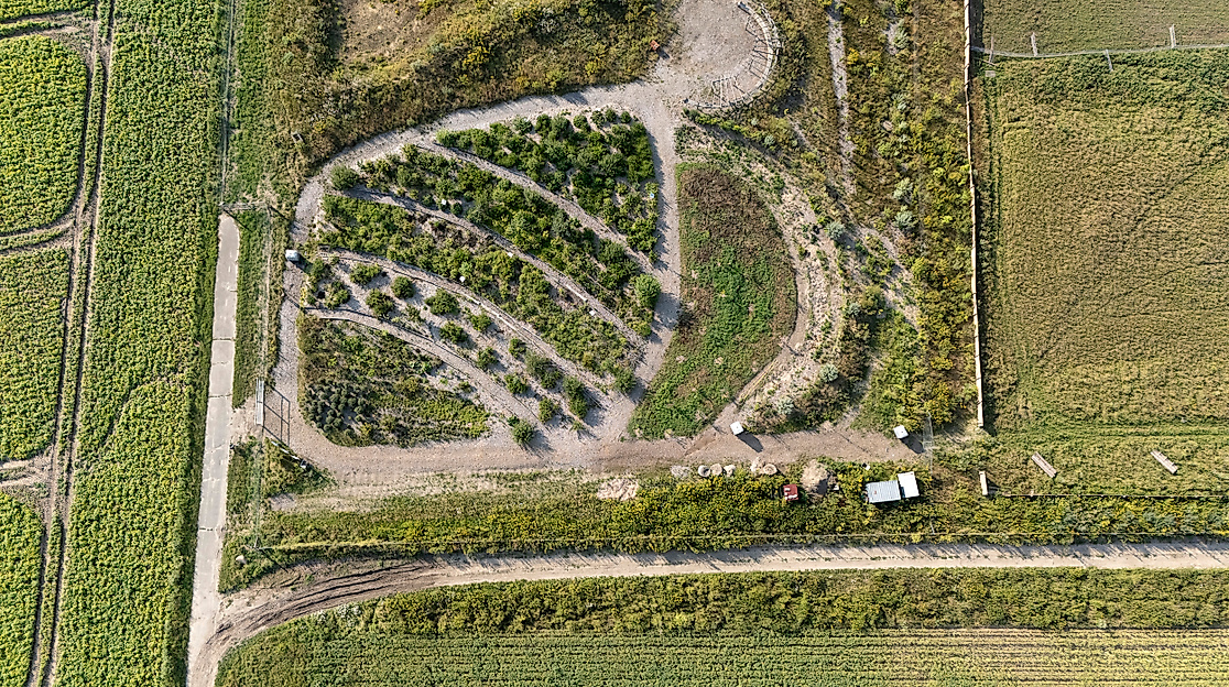 Waldgarten-Führung – Einblicke in eine nachhaltige Zukunft