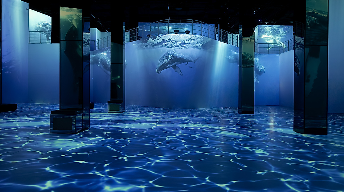 Unterwasserwelt-Ausstellung