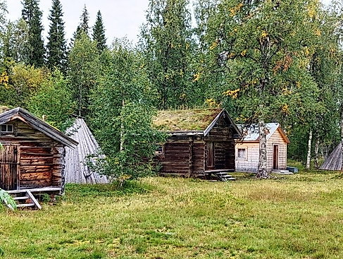 25-12-30 Lappland Wolf Leichsenring