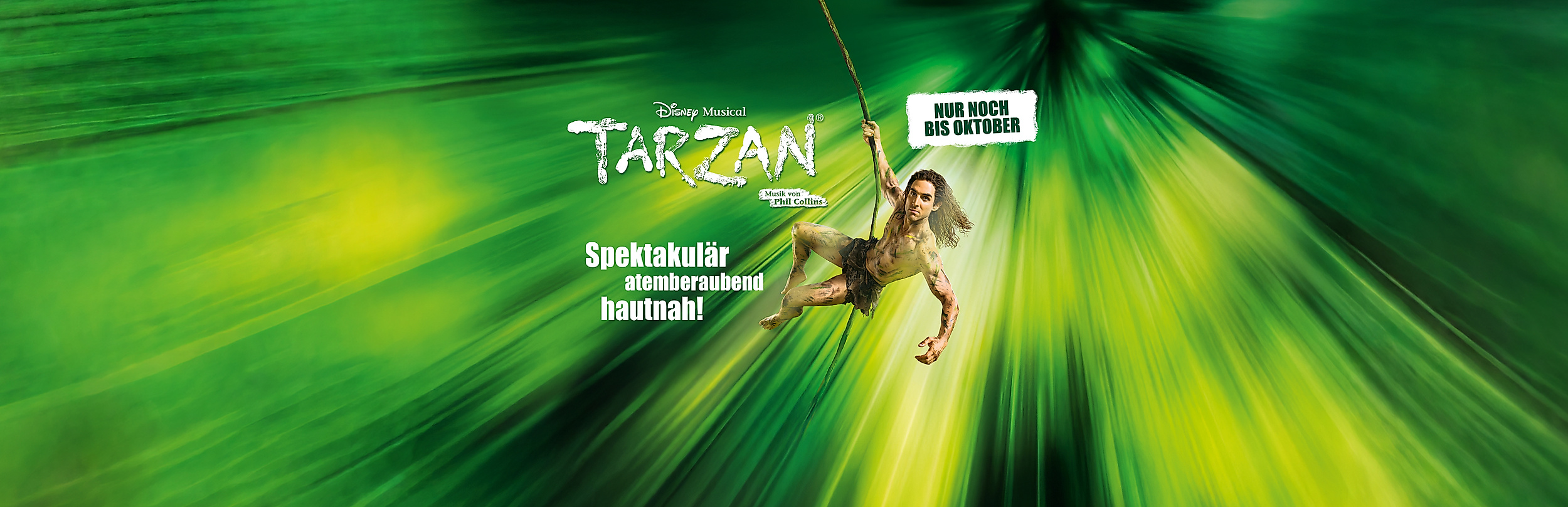 Logo Disneys Musical Tarzan Hamburg