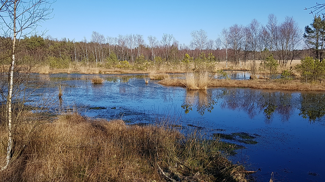 2019februarmk_2