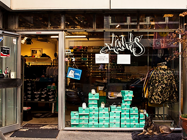 mantis_front_c-2018_tschreiber