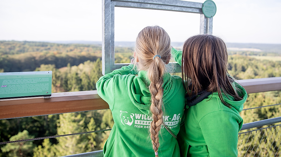 Baumwipfelpfad Heide Himmel