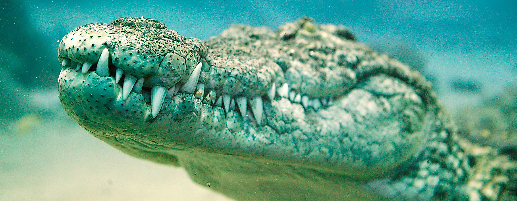 Tropical Aquarium Hagenbeck