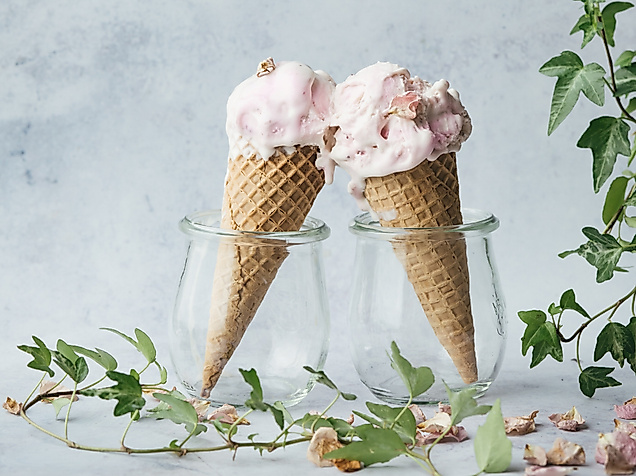 heather-barnes-1553178-unsplash