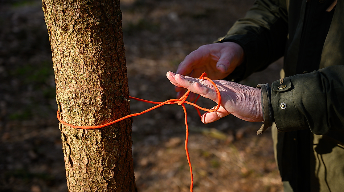 Bushcraft mit Clwyd Owen