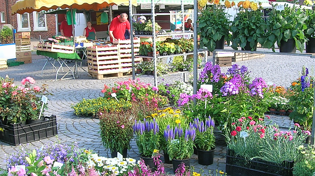 Bilder für Kalender(21)