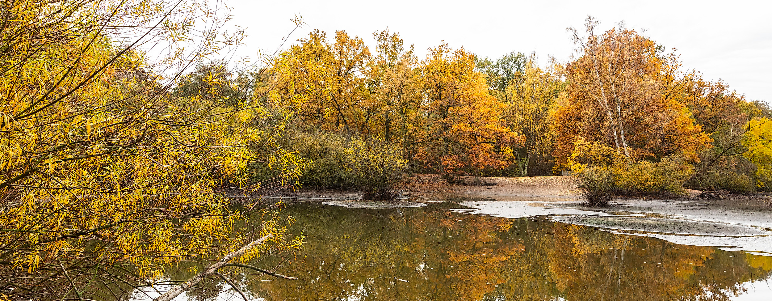 Herbstliche Flusslandschaft in Hamburg mit gelb-orange gefärbten Bäumen und ruhigem Wasserlauf