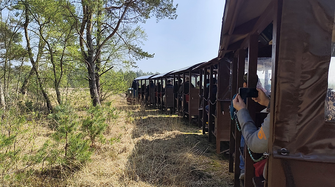 Frühlingsfest beim Moorbahncafé und der Moorbahn Burgsittensen