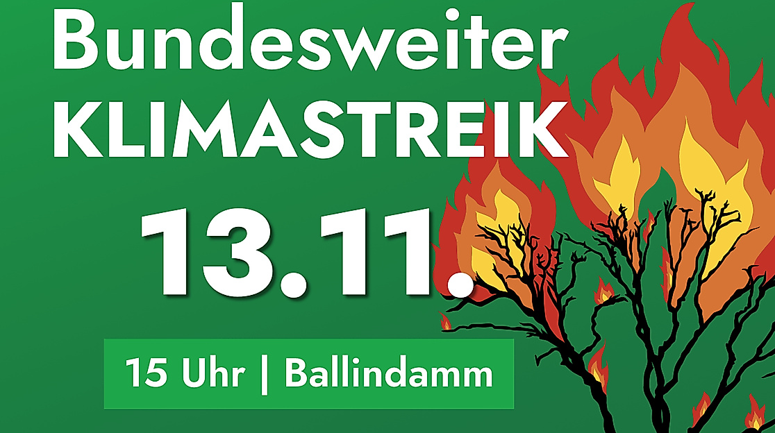 Klimastreik 13.11. 15 Uhr am Ballindamm