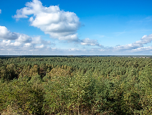 Wietze-Wietzer-Oelberg-Aussicht-Fruehherbst-ccbysa-Ploeger-241006-6908