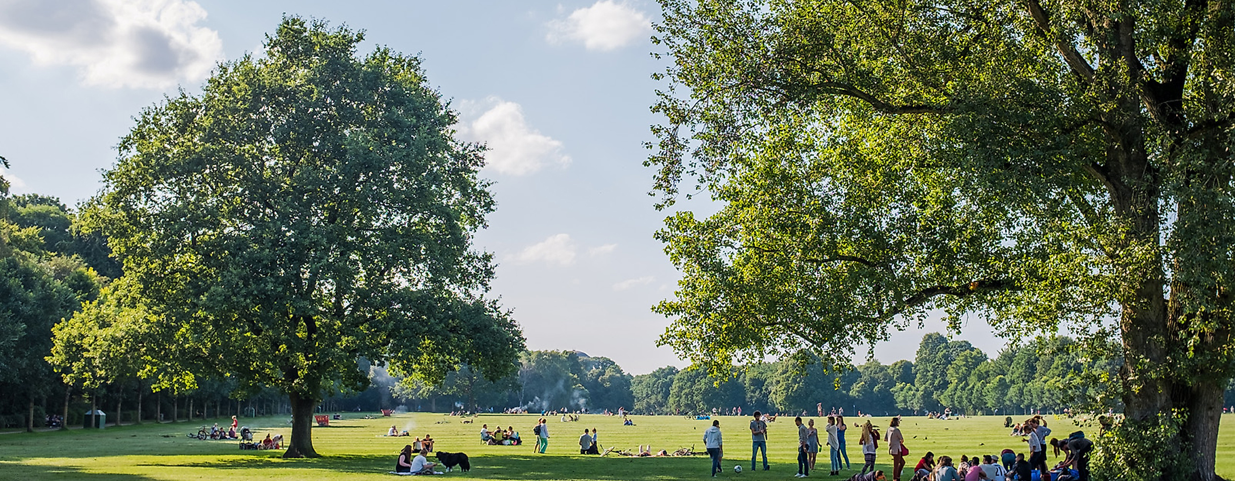 Menschen genießen das Sommerwetter auf der großen Wiese im Hamburger Stadtpark unter grünem Blätterdach