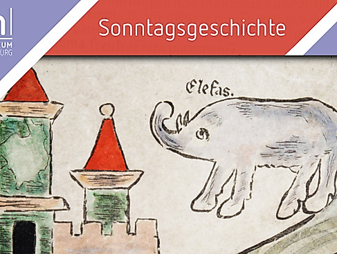 Der Elefant im Porzellanladen – In Redewendungen finden sich viele tierische Elemente