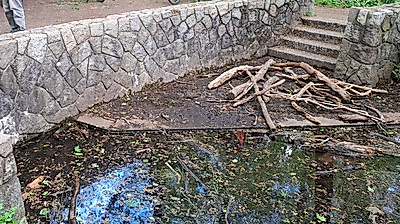 Woher kommt das Alsterwasser?