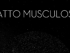 Gatto Muscoloso Poster