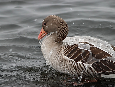 termin_25.10.26_IMG_7149