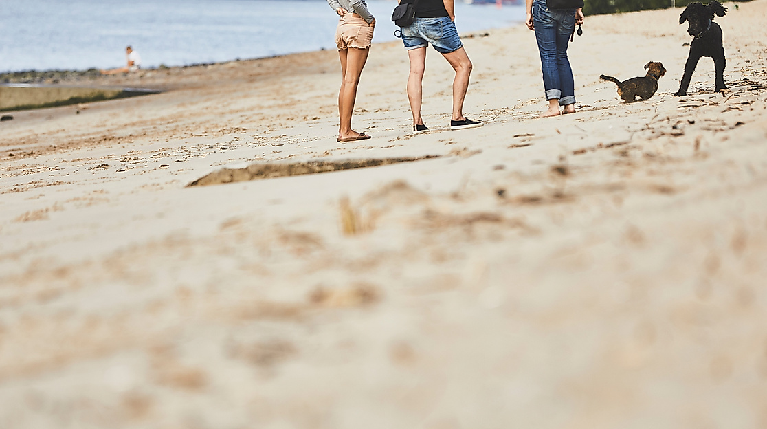 Elbstrand