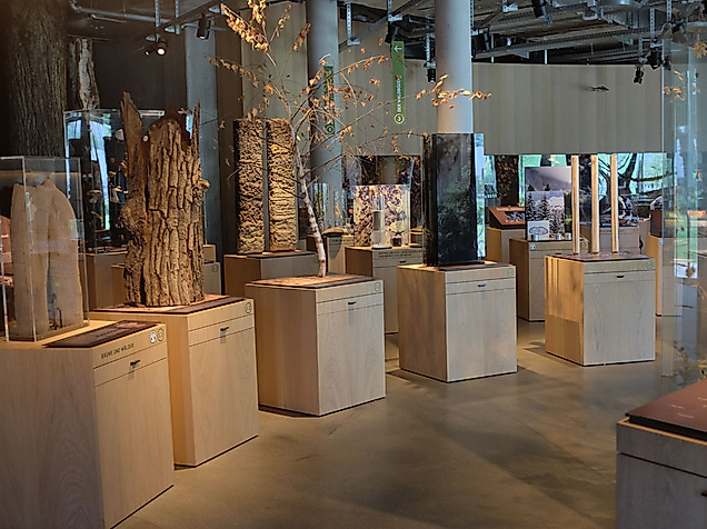 Wälderhaus Ausstellung Science Center Wald