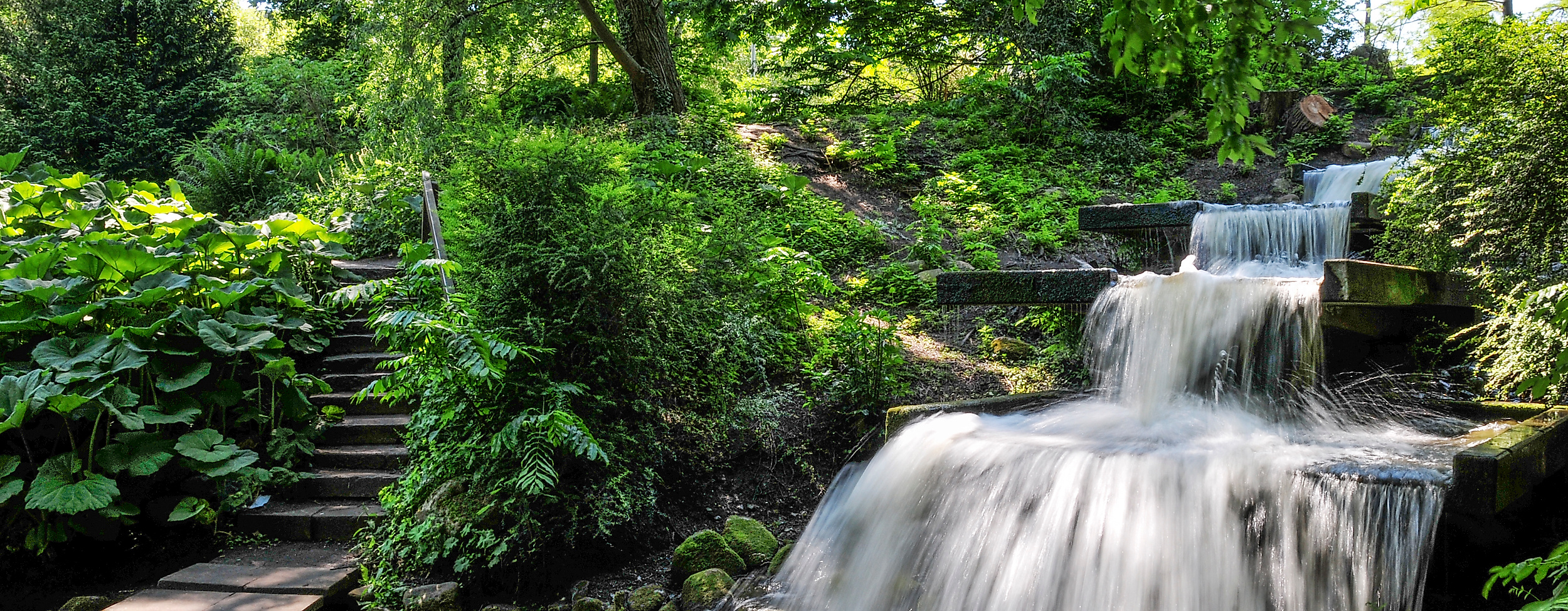 planten-un-blomen_japanischer-garten_c-berndt-andresen