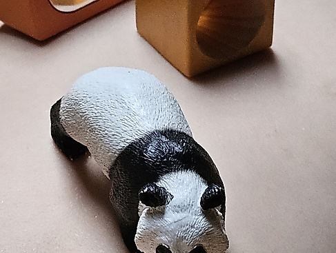 Tristessa und Tante Panda
