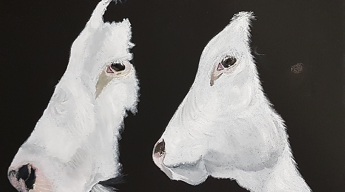 Ausstellung "FACETTEN" . Eva Mey und Tatjana Reifschneider