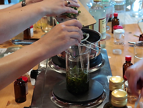 Heilkräuterexpedition mit Workshop