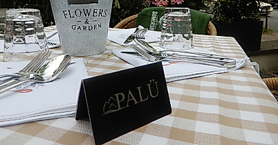 Palü