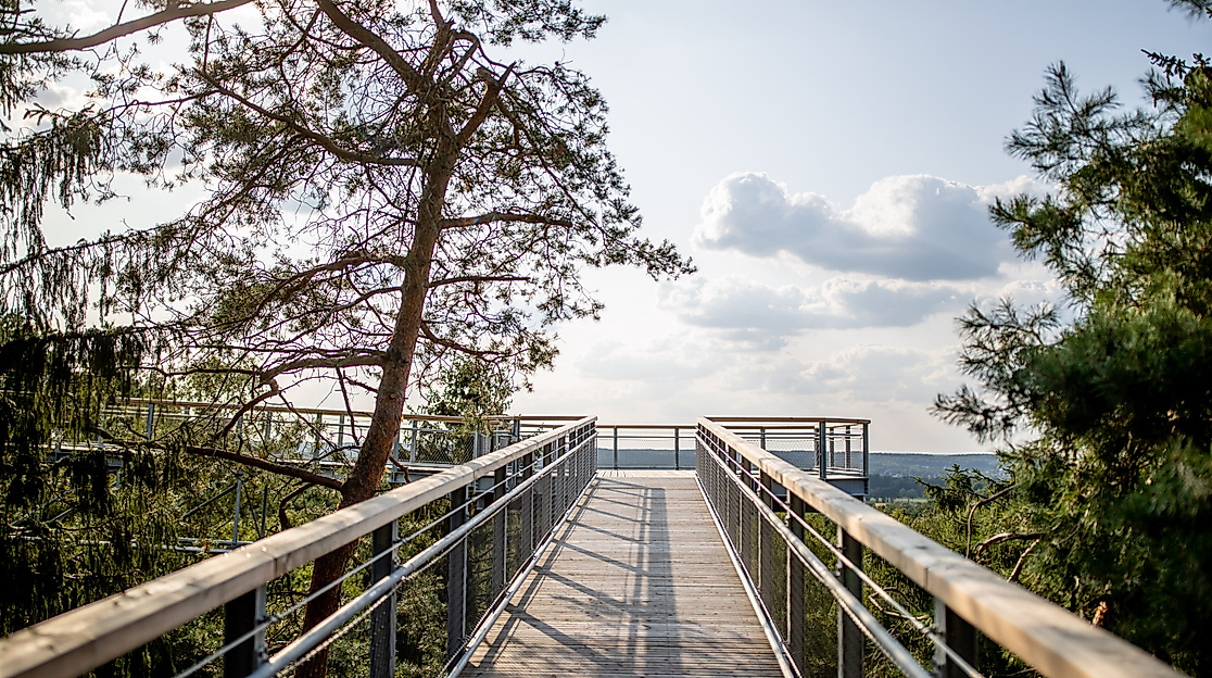 Baumwipfelpfad Heide Himmel