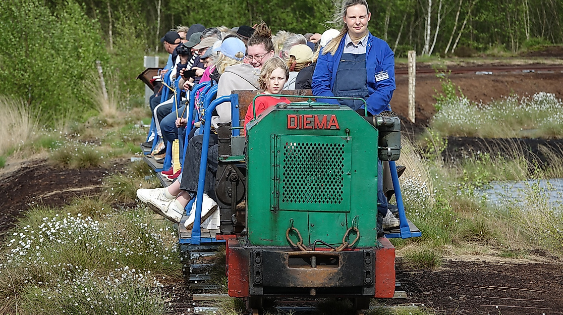 Diema DL6 tuckert durch das Moor