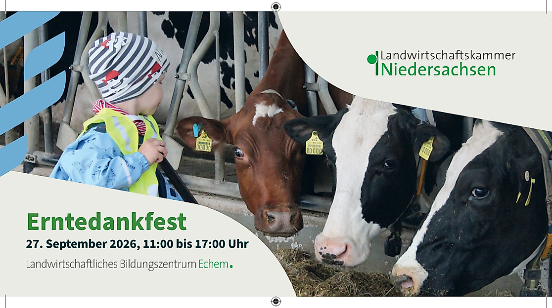 Erntedankfest Echem