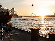 Sonntagmorgen Spezial zum Fischmarkt!