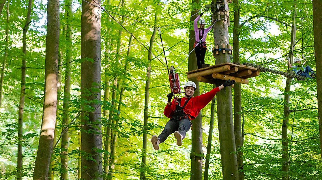 Adrenalin zwischen den Bäumen