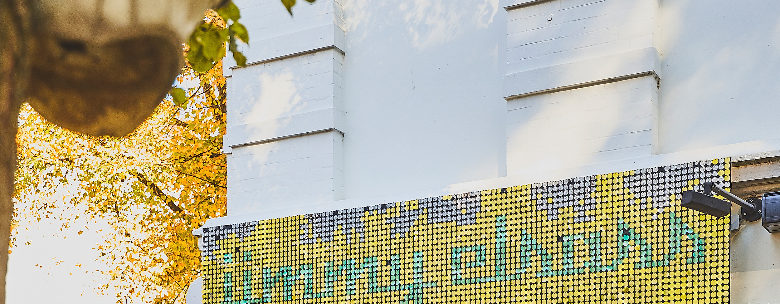 jimmy-elsass_c-2018-thisisjulia-photography-2