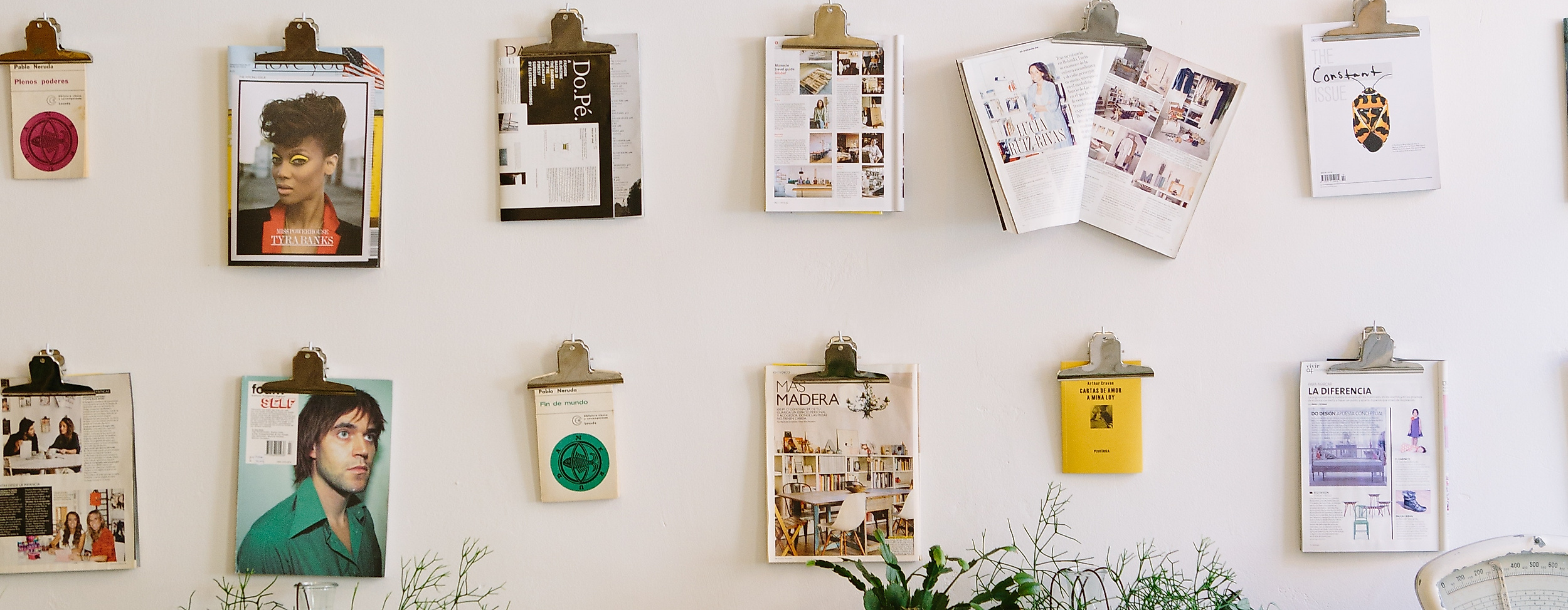 Lichter, Pflanzen und Illustrationen an der Wand in liebevoll gestaltetem Concept Store in Hamburg