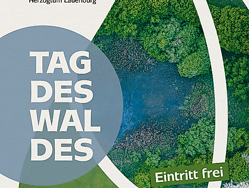 Tag des Waldes
