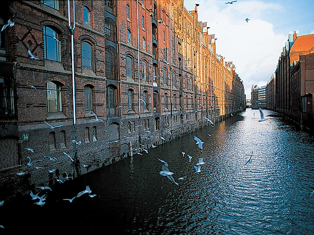 Vögel fliegen über den Wasserlauf zwischen den historischen Backsteinbauten der Speicherstadt bei Tageslicht