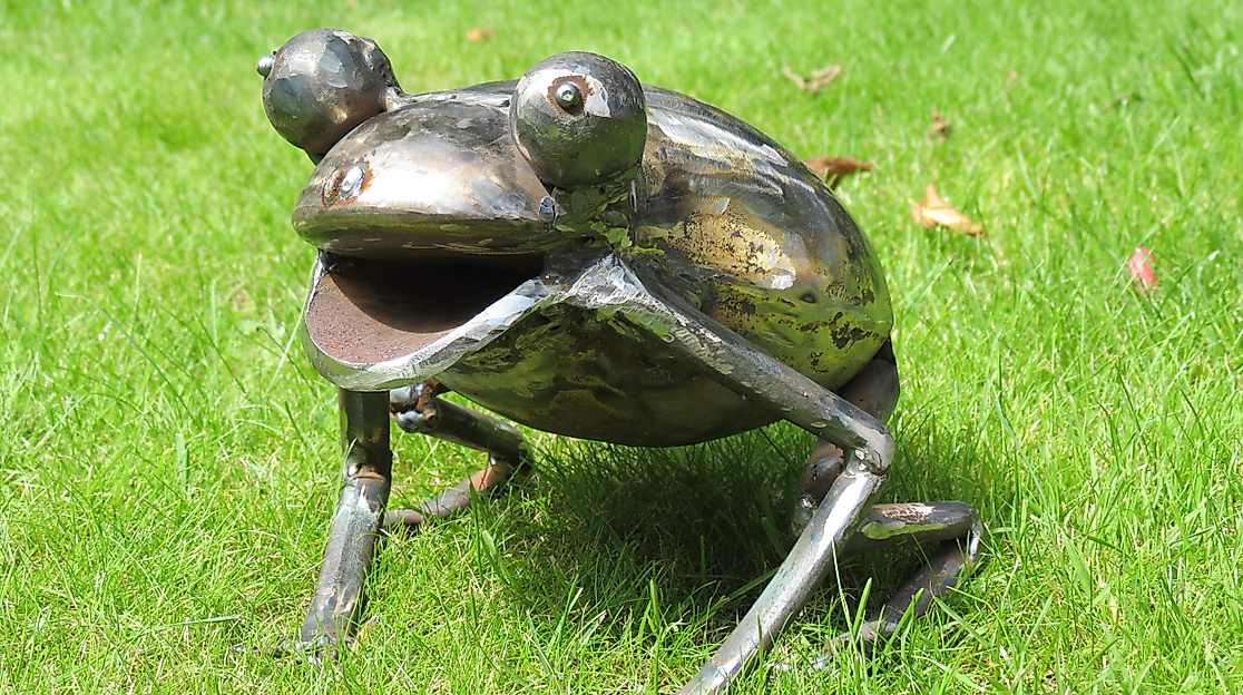 farbig+rostig: Frosch