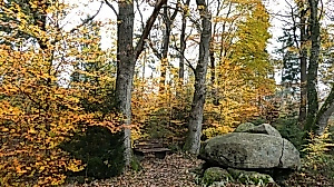 Hauptbild