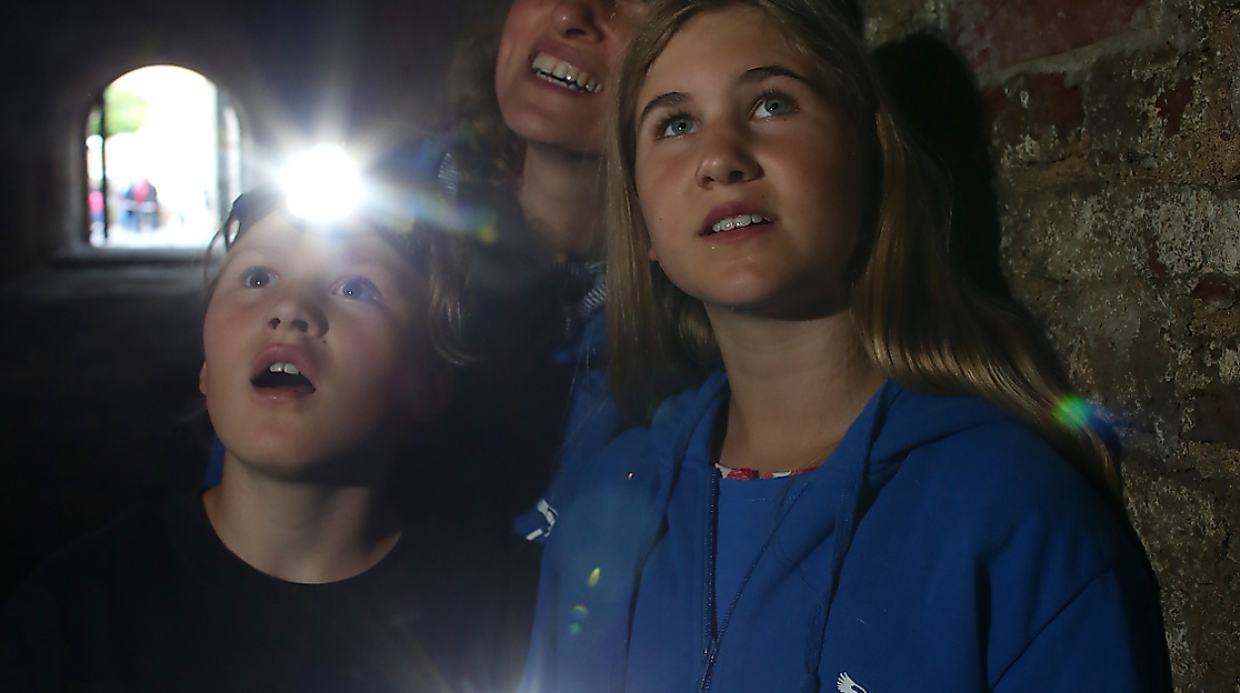 NABU NACHT der Fledermäuse