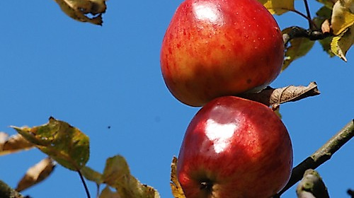 Abendmahlsgottesdienst