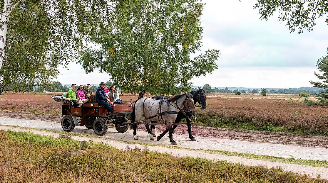 In der Lüneburger Heide