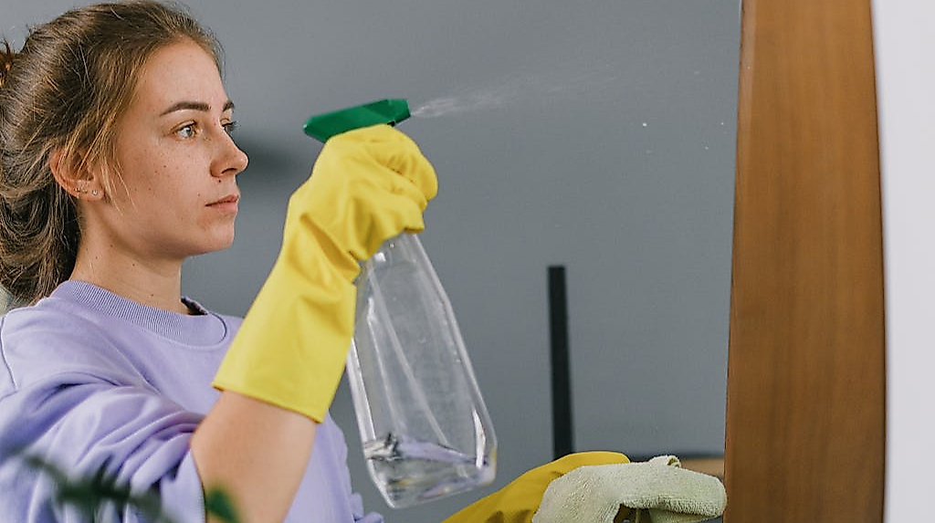 Eine Frau im fliederfarbenen Pullover hält eine Sprühflasche mit Reinigungsmittel in der einen und einen Putzlappen in der anderen Hand.