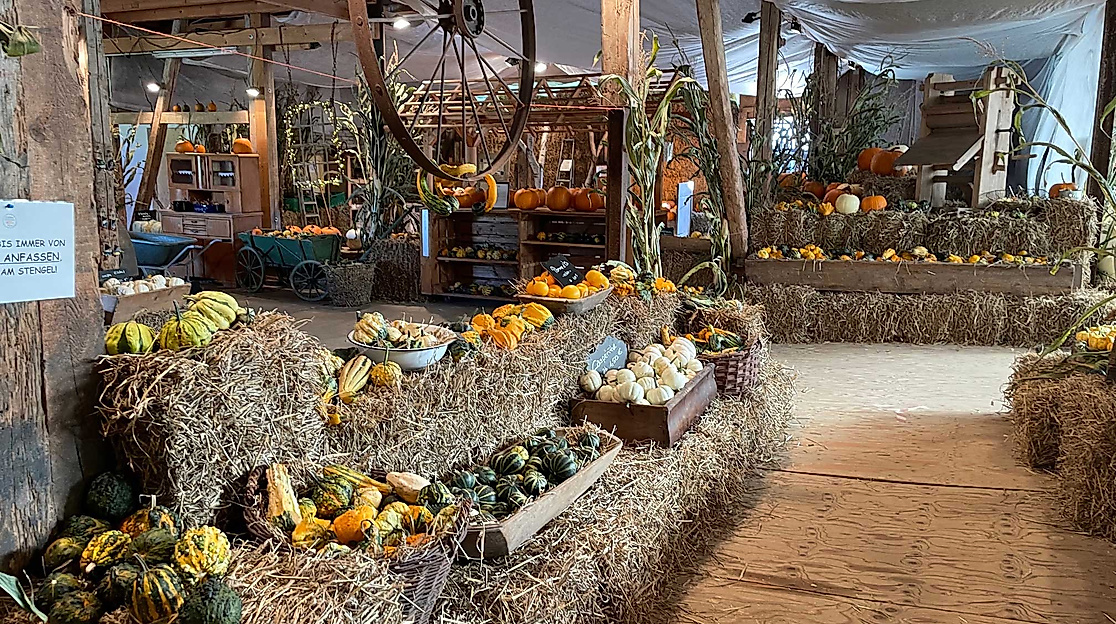 Blick-in-die-Kürbisscheune-Worth-C-Kürbisscheune-Worth