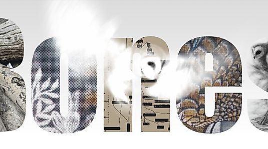 BONES - Eine immersive Performance