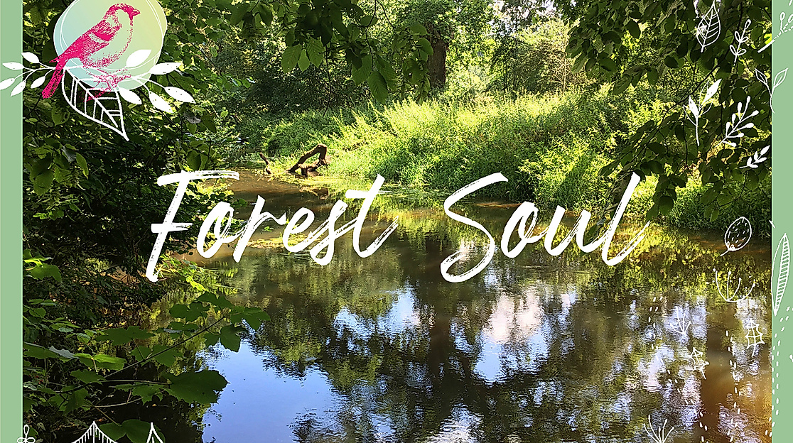 "Forest Soul"- Natur erleben, entspannen und neue Kraft schöpfen.