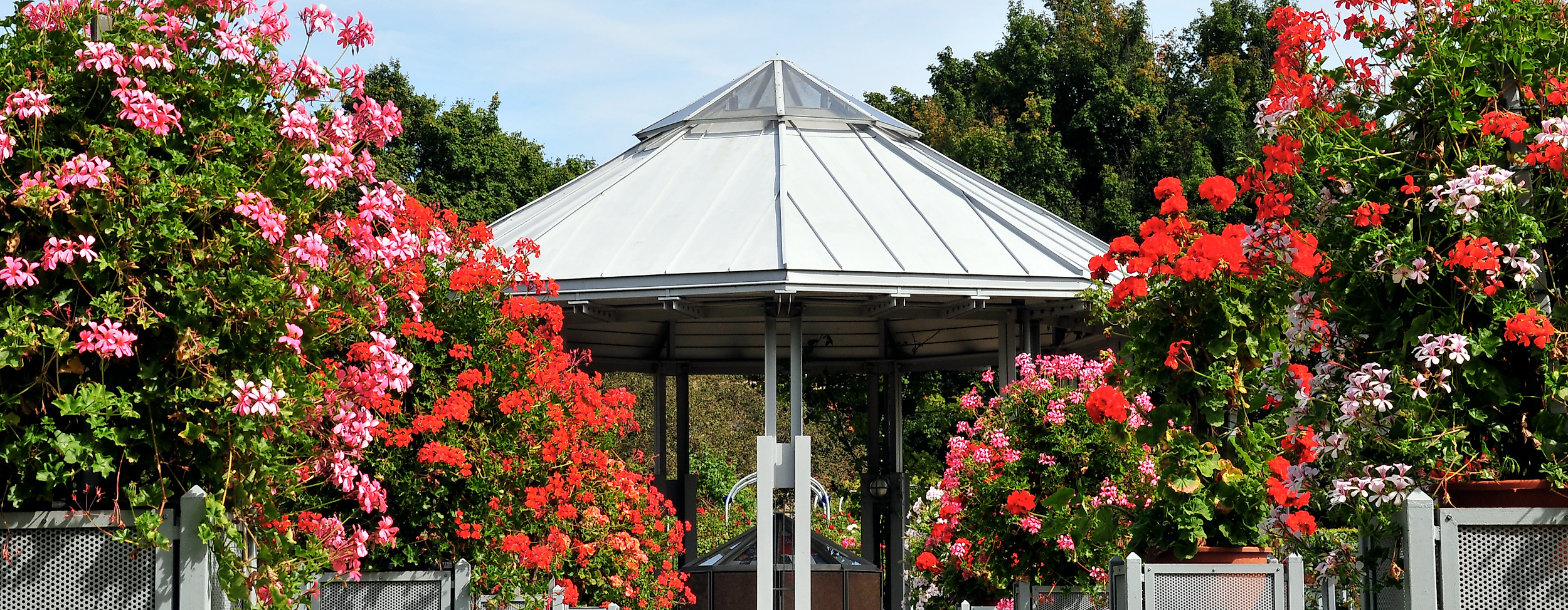 planten-un-blomen_rosengarten_c-berndt-andresen