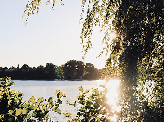 ausseralster_sonnenuntergang_c-2018-instagramcomiphotographyde-2